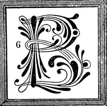 3b