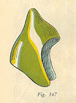 00032766_0084-0147