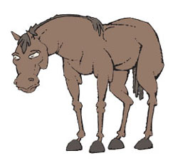 CABALLO_2