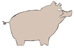 CHANCHO_1
