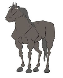 Caballo_1
