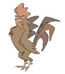 GALLO_1