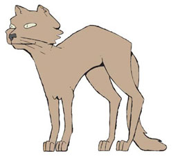 GATO