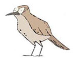 HORNERO_1