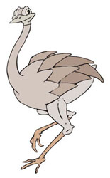 NANDU