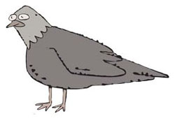 PALOMA