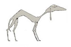 PERRO_1