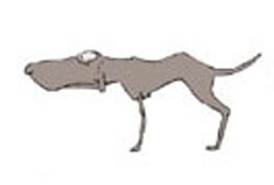 PERRO_2