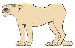 PUMA