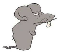 RATA_1