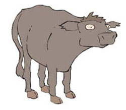 TERNERO