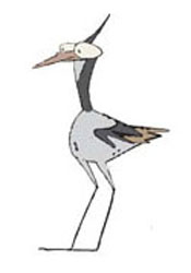 TERO