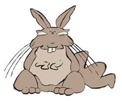VIZCACHA