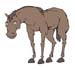 CABALLO_2
