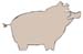 CHANCHO_1