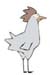 GALLINA_1