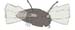 MOSCA_1