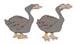 PATO