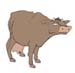 VACA