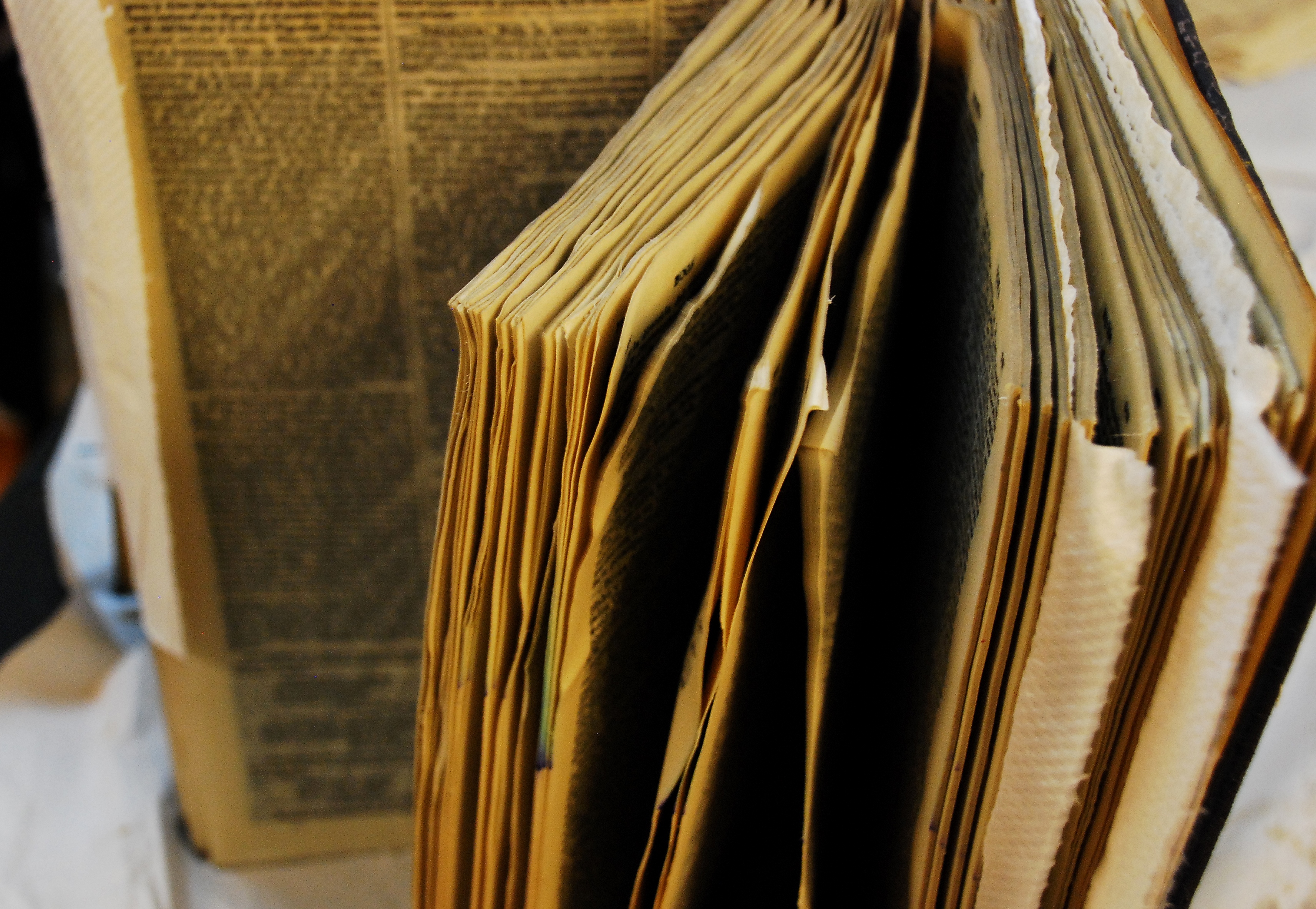 Libro mojado 