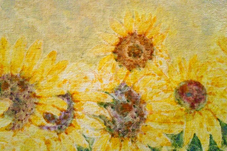 Girasoles, 1994