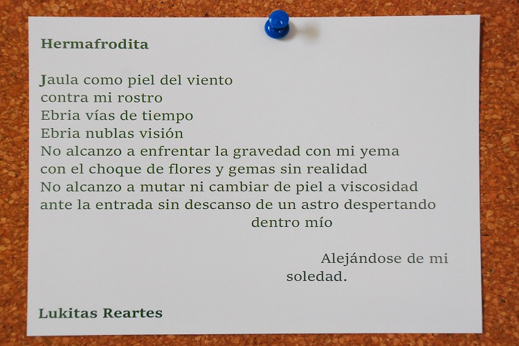 Poema de participante del taller